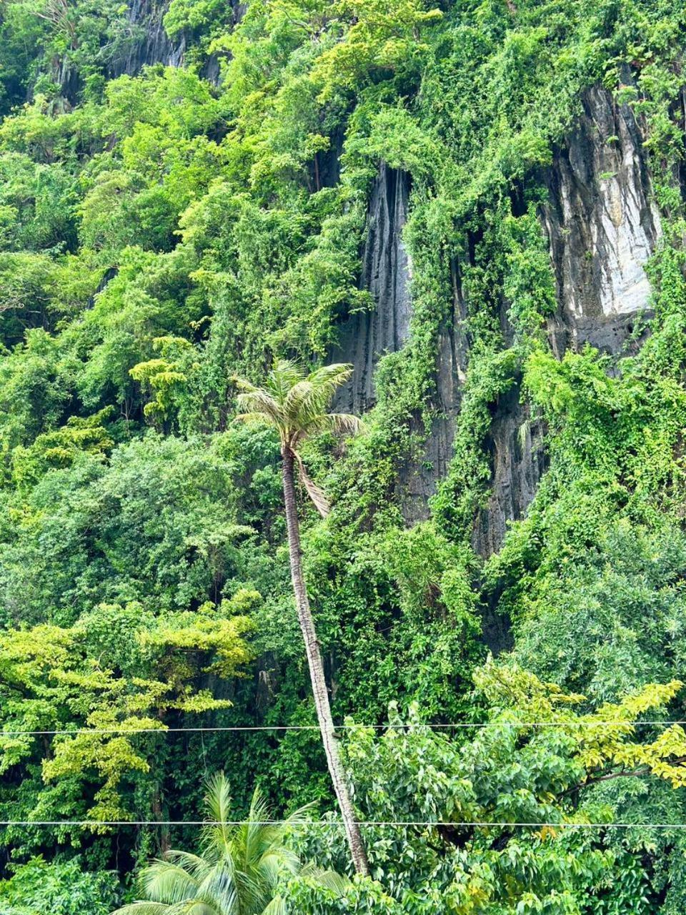Mayad El Nido Inn Luaran gambar