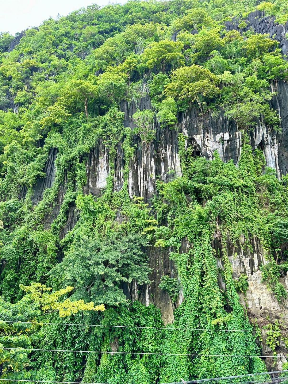 Mayad El Nido Inn Luaran gambar